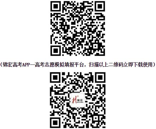 插入.jpg